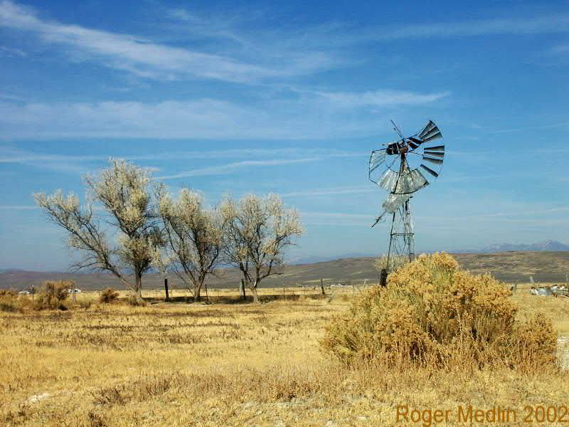 Old Wind Mill Baker Valley